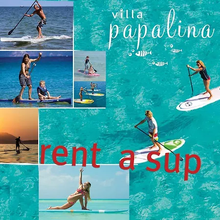 Papalina 4*